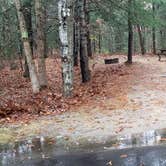 Review photo of Shawme Crowell State Forest by Jean C., November 16, 2020