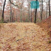 Review photo of Shawme Crowell State Forest by Jean C., November 16, 2020