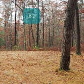 Review photo of Shawme Crowell State Forest by Jean C., November 16, 2020