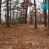 Review photo of Shawme Crowell State Forest by Jean C., November 16, 2020