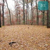 Review photo of Shawme Crowell State Forest by Jean C., November 16, 2020