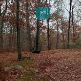 Review photo of Shawme Crowell State Forest by Jean C., November 16, 2020