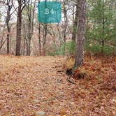 Review photo of Shawme Crowell State Forest by Jean C., November 16, 2020