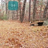 Review photo of Shawme Crowell State Forest by Jean C., November 16, 2020