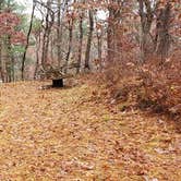 Review photo of Shawme Crowell State Forest by Jean C., November 16, 2020