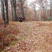 Review photo of Shawme Crowell State Forest by Jean C., November 16, 2020