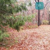 Review photo of Shawme Crowell State Forest by Jean C., November 16, 2020