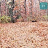 Review photo of Shawme Crowell State Forest by Jean C., November 16, 2020