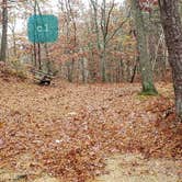 Review photo of Shawme Crowell State Forest by Jean C., November 16, 2020