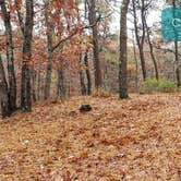 Review photo of Shawme Crowell State Forest by Jean C., November 16, 2020