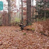 Review photo of Shawme Crowell State Forest by Jean C., November 16, 2020