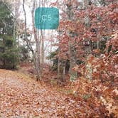 Review photo of Shawme Crowell State Forest by Jean C., November 16, 2020