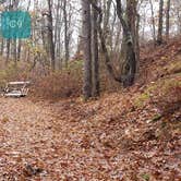 Review photo of Shawme Crowell State Forest by Jean C., November 16, 2020