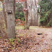 Review photo of Shawme Crowell State Forest by Jean C., November 16, 2020