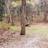 Review photo of Shawme Crowell State Forest by Jean C., November 16, 2020