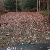 Review photo of Shawme Crowell State Forest by Jean C., November 16, 2020