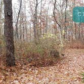 Review photo of Shawme Crowell State Forest by Jean C., November 16, 2020