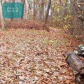 Review photo of Shawme Crowell State Forest by Jean C., November 16, 2020