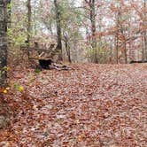 Review photo of Shawme Crowell State Forest by Jean C., November 16, 2020