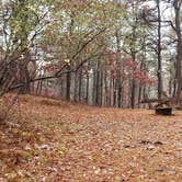 Review photo of Shawme Crowell State Forest by Jean C., November 16, 2020