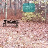 Review photo of Shawme Crowell State Forest by Jean C., November 16, 2020