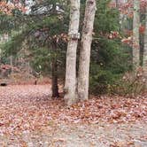 Review photo of Shawme Crowell State Forest by Jean C., November 16, 2020