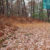 Review photo of Shawme Crowell State Forest by Jean C., November 16, 2020