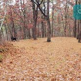 Review photo of Shawme Crowell State Forest by Jean C., November 16, 2020