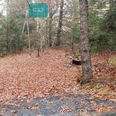 Review photo of Shawme Crowell State Forest by Jean C., November 16, 2020