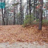 Review photo of Shawme Crowell State Forest by Jean C., November 16, 2020