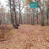 Review photo of Shawme Crowell State Forest by Jean C., November 16, 2020