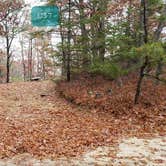 Review photo of Shawme Crowell State Forest by Jean C., November 16, 2020