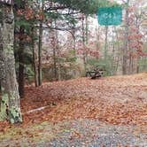 Review photo of Shawme Crowell State Forest by Jean C., November 16, 2020