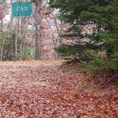 Review photo of Shawme Crowell State Forest by Jean C., November 16, 2020