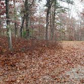 Review photo of Shawme Crowell State Forest by Jean C., November 16, 2020