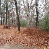 Review photo of Shawme Crowell State Forest by Jean C., November 16, 2020