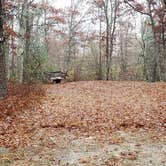 Review photo of Shawme Crowell State Forest by Jean C., November 16, 2020