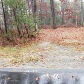 Review photo of Shawme Crowell State Forest by Jean C., November 16, 2020