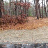 Review photo of Shawme Crowell State Forest by Jean C., November 16, 2020