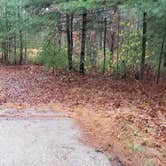 Review photo of Shawme Crowell State Forest by Jean C., November 16, 2020