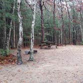 Review photo of Shawme Crowell State Forest by Jean C., November 16, 2020