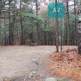 Review photo of Shawme Crowell State Forest by Jean C., November 16, 2020