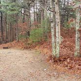 Review photo of Shawme Crowell State Forest by Jean C., November 16, 2020