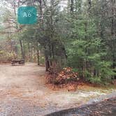 Review photo of Shawme Crowell State Forest by Jean C., November 16, 2020