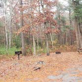 Review photo of Shawme Crowell State Forest by Jean C., November 16, 2020