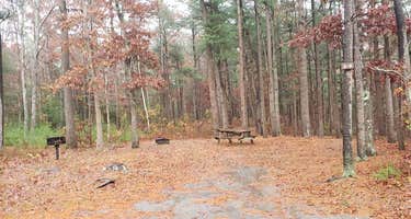 Shawme Crowell State Forest