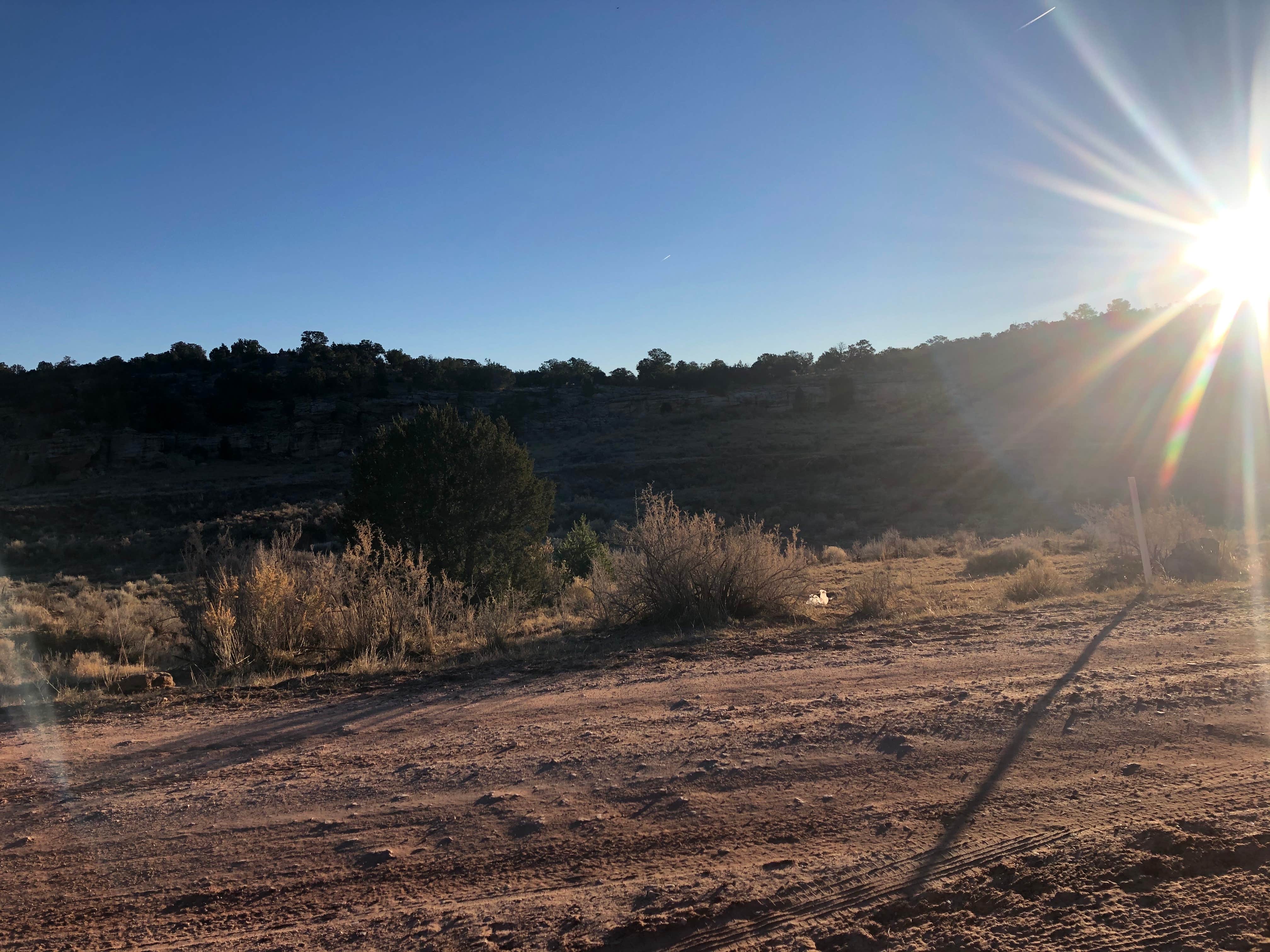 Camper submitted image from Six Mile Canyon - Dispersed Camping - 3