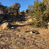 Review photo of Six Mile Canyon - Dispersed Camping by Jennifer  C., November 16, 2020