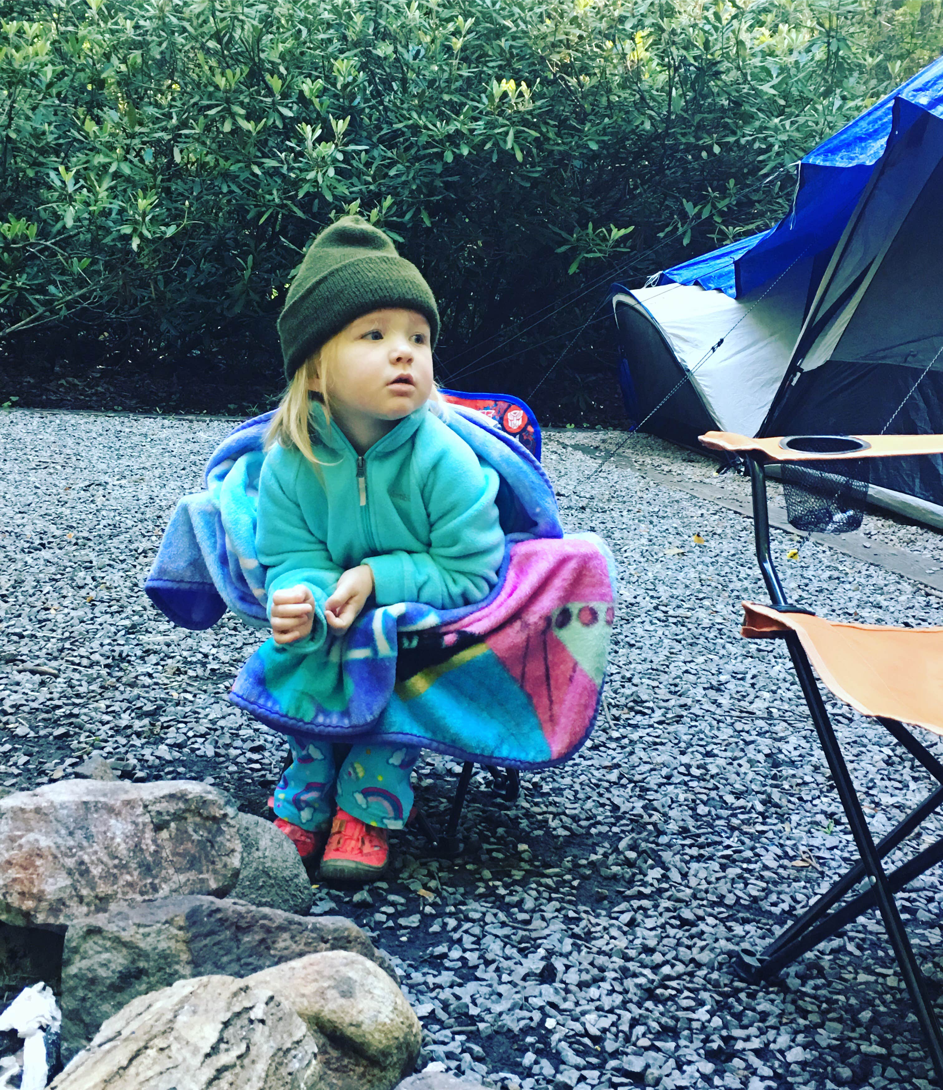 Camper submitted image from Roan Mountain State Park Campground - 4