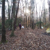 Review photo of Virgin Falls State Natural Area - Primitive by Joshua C., November 16, 2020